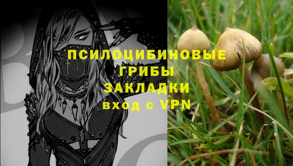 герыч Арсеньев