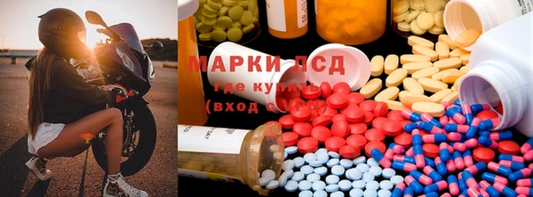 дживик Алзамай