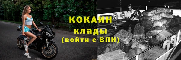 дживик Алзамай