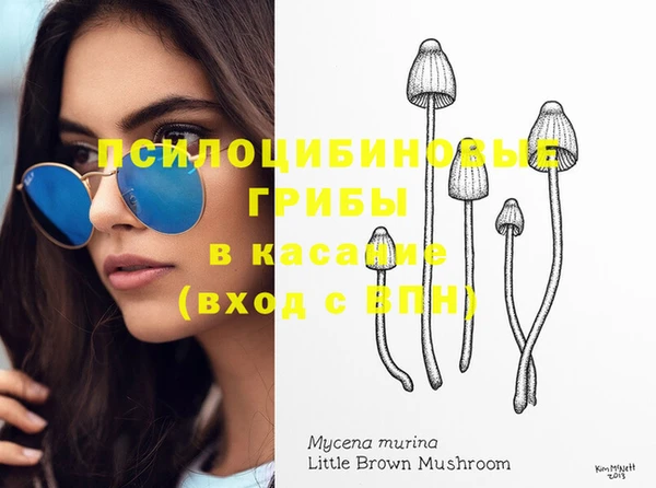 таблы Аркадак