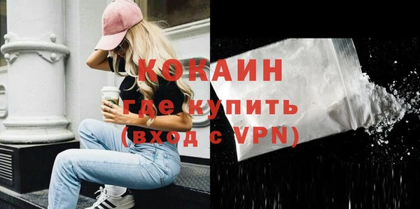 кокс Алексин